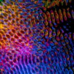 AI, Tech Background