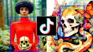 TikTok Boximator AI Tool by ByteDance